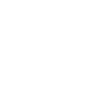 Bully Mom