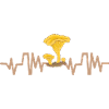 chanterelle mushroom heartbeat mushrooms