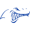 The Blue Shark
