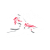 Snowmobiler and Skidoo Design