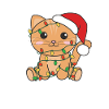 Cat Christmas Winter Animals Cats