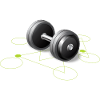 Dumbbell GYM
