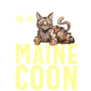 Maine Coon Cat