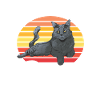 Maine Coon Cat