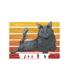 Maine Coon Cat
