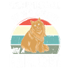 Maine Coon Chat
