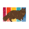 Maine Coon Cat