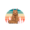 Maine Coon Chat