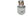 Australian Shepherd Gift Dogs
