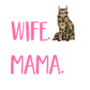 Maine Coon Cat