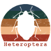 Heteroptera Retro