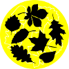 Autumn Circle Leaves