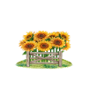Sonnenblume Mädchen Liebe