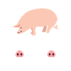 Friends Pigs Friendship vegan