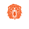 Lion's Face