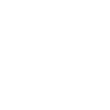 Kranführer Evolution Kranfahrer