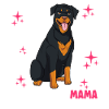 Rottweiler Mama