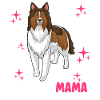 Sheltie Mama