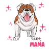 Bulldog Mama
