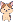 positive cat