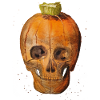 Pumpkin Skull