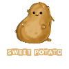 Sweet potato