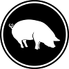 Schwein Tier