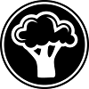 Broccoli Vegetables