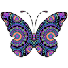 Butterfly Rainbow Mandala