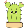 sad cactus
