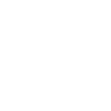 Analog