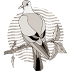 Vogel