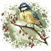 Bunter Vogel