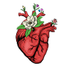 Heart Surgery Gift