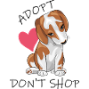 Mignon beagle. Adopter