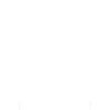 Coyote Animal Funny