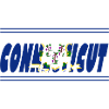 Connecticut Pride Blue Flag
