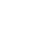 Ikigai