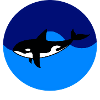 Orka Tasse