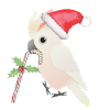 Een schattige Kerst style Molukse kaketoe