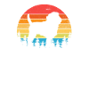 Affenpinscher father
