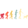 Chiens Affenpinscher