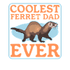 Ferret Dad Ferret Lover Gift