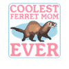 Ferret Mom Ferret Lover Gift
