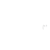 ma journée parfaite boxe