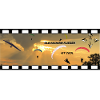 Paragliding22