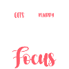 Photography Photographer Image
