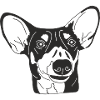 Podenco Mix