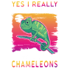 Chameleon Gift Chameleon