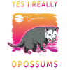 Opossum Geschenk Possum Beutelratte